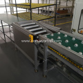 Customized Electronic Roller Conveyor Systems